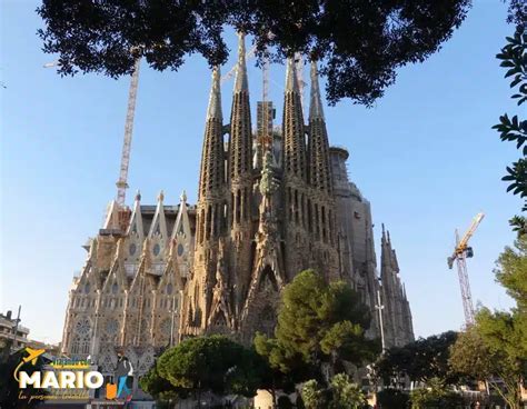 planes barcelona domingo|DOMINGO Barcelona Qué planes hacer